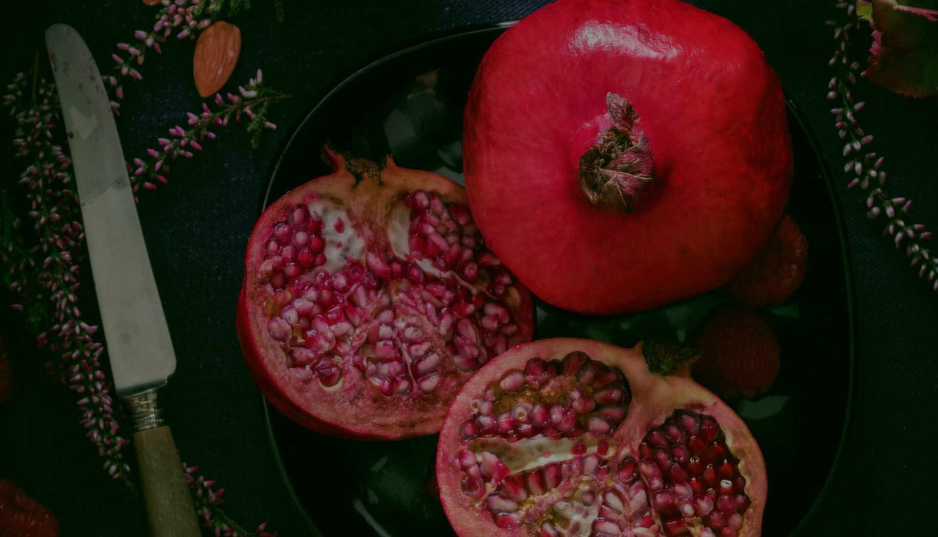 h2-rev-background-img-1